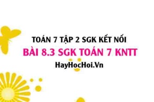 Bài 8.3 SGK Toán 7 Tập 2 Kết nối tri thức
